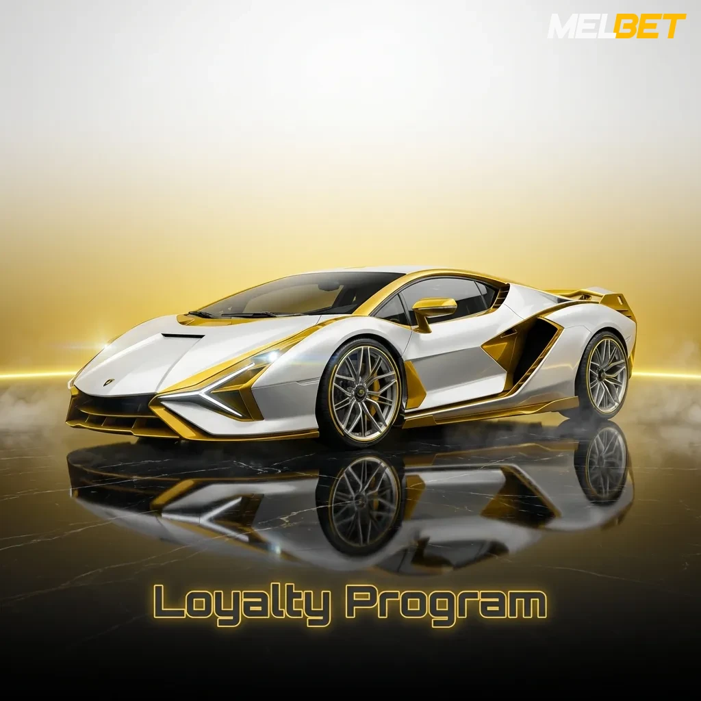 VIP loyalty program dashboard showing six tiers from Bronze to Black with points, rewards, and exclusive benefits