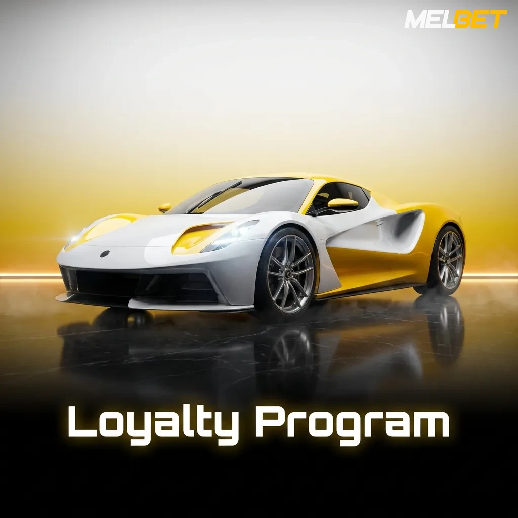 Multi-tier loyalty program interface showing reward levels from Bronze to Elite with points and cashback benefits