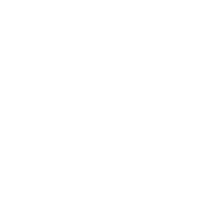 Amusnet logo.